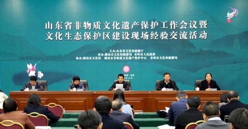 山东省非遗保护工作会议在青州开幕